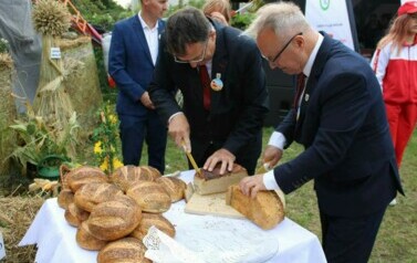 Dożynki Gminne Sitno 2024 78
