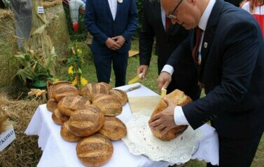 Dożynki Gminne Sitno 2024 80