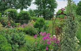 Wyr&oacute;żnienie w kategorii &bdquo;Ogrody Seniorki&rdquo; dla Pani Krystyny Maciejewskiej