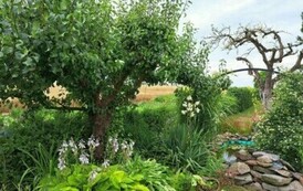 Kategoria Gospodarstwo Rolne - Miejsce III &ndash; Grochowska Anita &ndash; KGW Dębiny