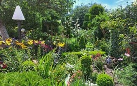 Kategoria Gospodarstwo Rolne - Miejsce II &ndash; Jasiek Albina &ndash; KGW Wąwelno