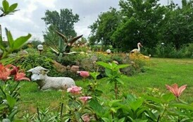 1. &bdquo;PEREŁKĘ OGRODU&rdquo; otrzymała Pani Krystyna Konopacka KGW Wielowicz