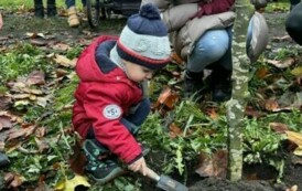 Posadzenie drzewa przez zuch&oacute;w i harcerzy w Parku Szkolnym w Wielowiczu 8
