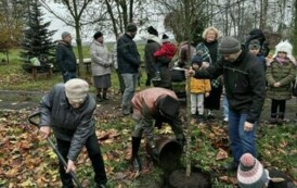 Posadzenie drzewa przez zuch&oacute;w i harcerzy w Parku Szkolnym w Wielowiczu 11