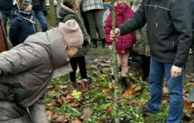 Posadzenie drzewa przez zuch&oacute;w i harcerzy w Parku Szkolnym w Wielowiczu 14