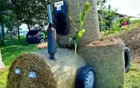 Dożynki Powiatowo-Gminne 2025 11