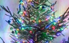 Wigilia Senior&oacute;w &ndash; wsp&oacute;lne świętowanie w wyjątkowej atmosferze 46