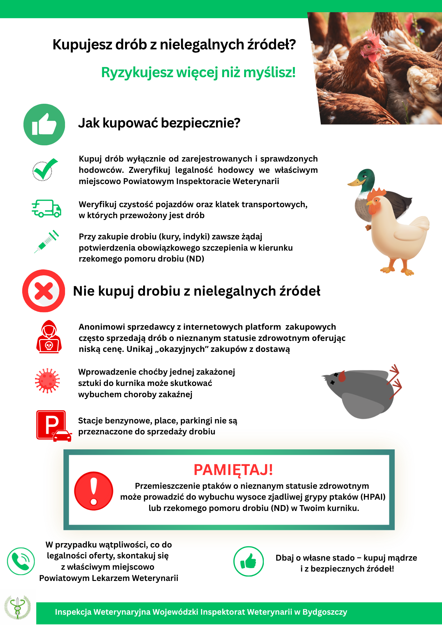 &bdquo;Plakat informacyjny Inspekcji Weterynaryjnej. Zawiera hasła ostrzegające przed kupowaniem drobiu z&nbsp;nielegalnych źr&oacute;deł oraz&nbsp;kr&oacute;tkie wskaz&oacute;wki, jak kupować bezpiecznie. Tekst podkreśla ryzyko chor&oacute;b zakaźnych i&nbsp;zachęca do kontaktu z&nbsp;Powiatowym Lekarzem Weterynarii.&rdquo;