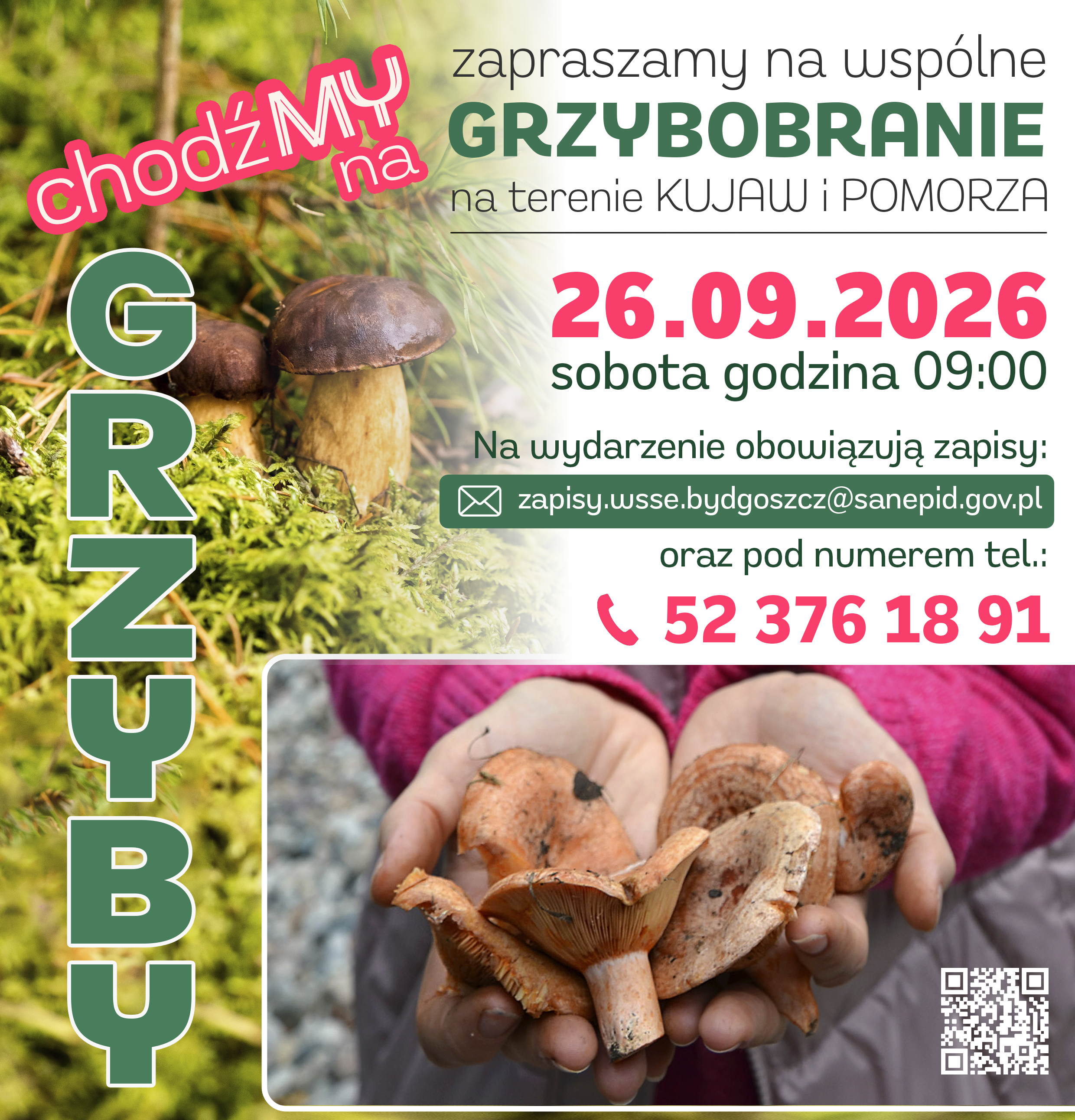 Plakat zapraszający na&nbsp;wsp&oacute;lne grzybobranie na&nbsp;terenie Kujaw i&nbsp;Pomorza, organizowane 26 września 2026 roku (sobota) o&nbsp;godzinie 9:00. Na plakacie znajduje się zdjęcie grzyb&oacute;w w&nbsp;lesie oraz&nbsp;zdjęcie osoby trzymającej zebrane grzyby. Informacje o&nbsp;zapisach: zapisy.wsse.bydgoszcz@sanepid.gov.pl oraz&nbsp;tel. 52 376 18 91. Plakat zawiera r&oacute;wnież kod QR i&nbsp;napis &bdquo;GRZYBOBRANIE&rdquo;.