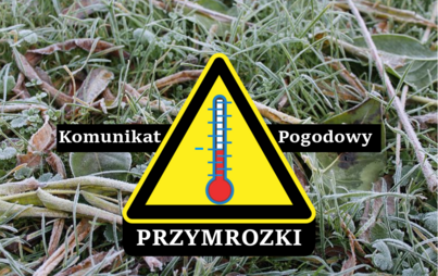 Znak ostrzegawczy z grafiką przedstawiającą termometr. Napis komunikat pogodowy przymrozki. W tle zdjęcie zmarzniętej trawy
